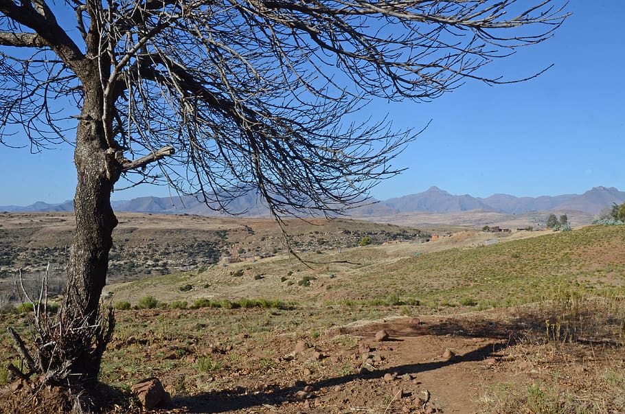 landscape, tree, scenery, scenic, lesotho, malealea, sky, tranquility HD wallpaper