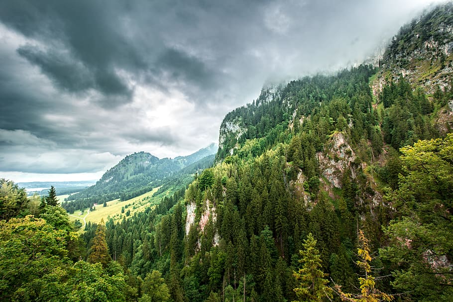 Aerial Photo of Forest, clouds, daylight, environment, fog, grass HD wallpaper