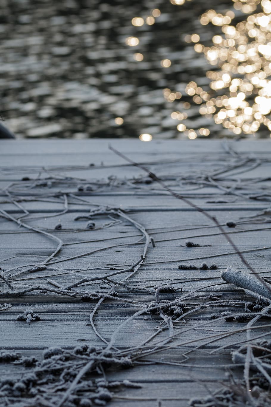 web, ice, winter, landscape, nature, lake, no people, selective focus HD wallpaper