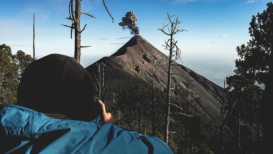man standing near withered tree facing mountain, volcán de fuego HD wallpaper