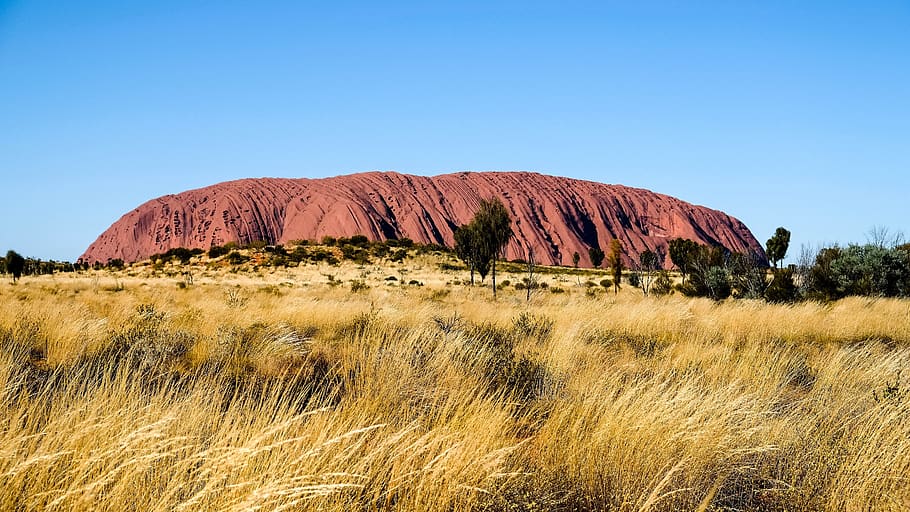 ayers rock, australia, landmark, bush, red, scenic, heritage, HD wallpaper