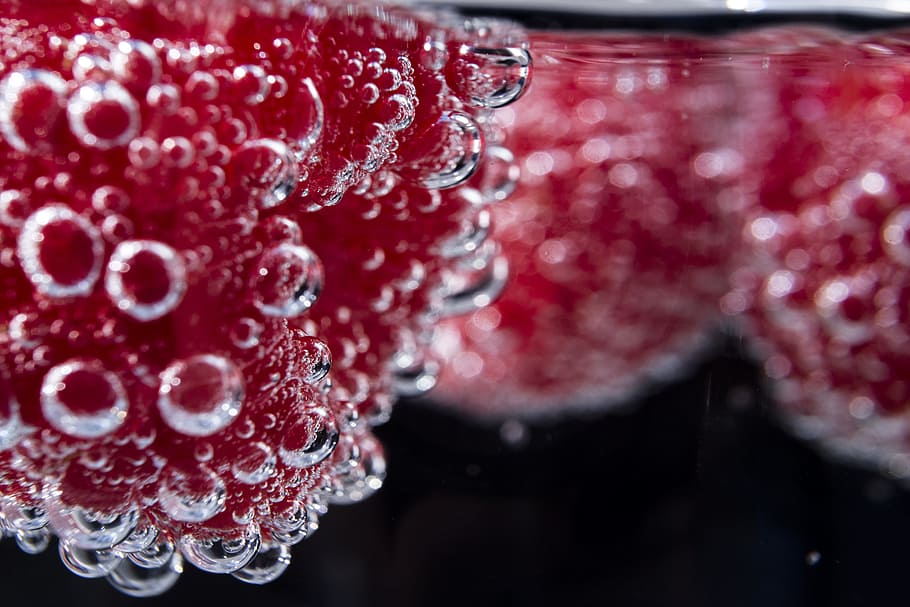 Macro Photography of Pink Berries Water, berry, bright, bubble HD wallpaper