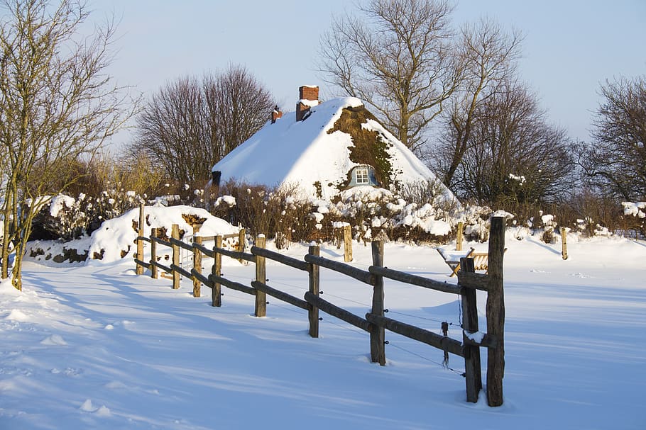 winter, snow, cold, frost, tree, cold temperature, sky, architecture HD wallpaper