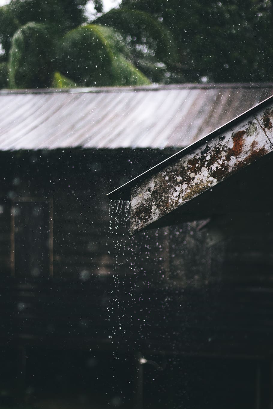 Selective Focus Photography of Corrugated Metal Sheet of House during Rainy Daytime HD wallpaper