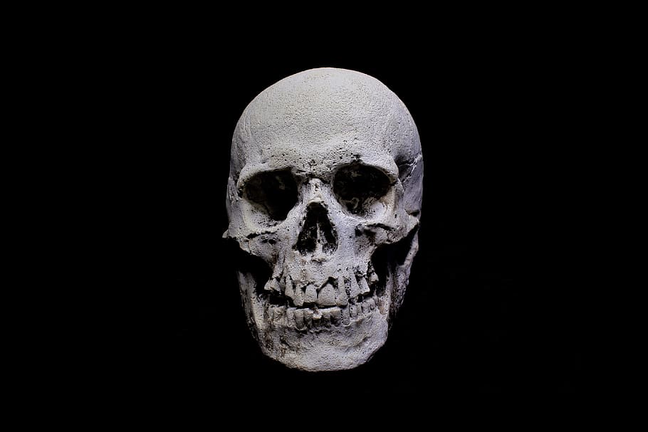 skull, dark, gothic, human skeleton, black background, bone HD wallpaper