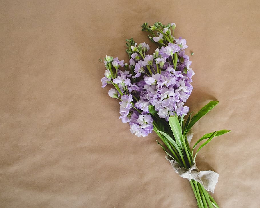 flowers, flatly, top, composition, mockup, floral, overhead HD wallpaper