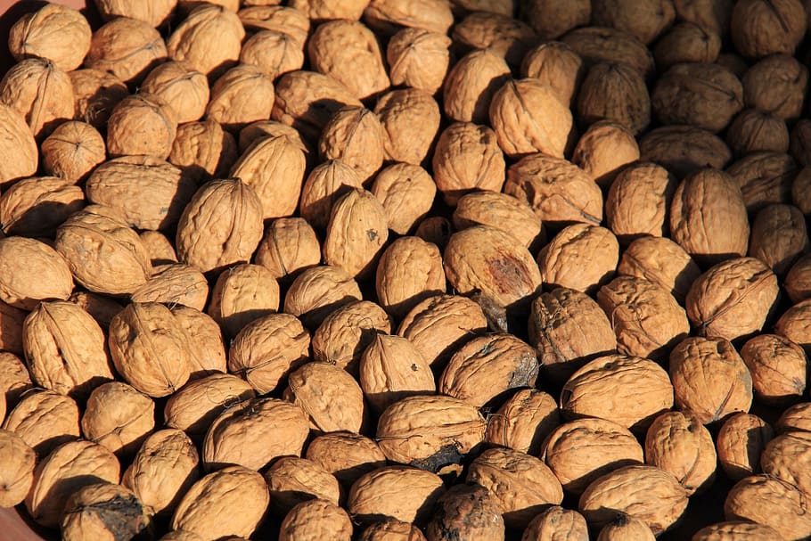 tree nuts, quantitative, many, brown, still life, nutritious, HD wallpaper