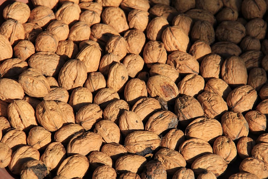 tree nuts, quantitative, many, brown, still life, nutritious HD wallpaper