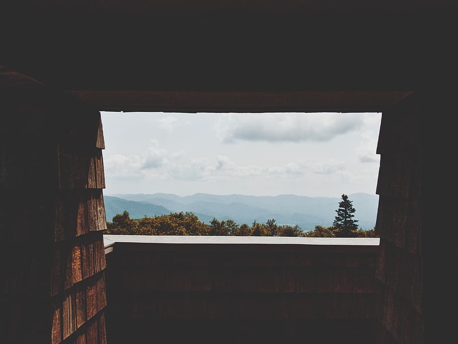 brown concrete house interior, outdoors, nature, plant, tree HD wallpaper