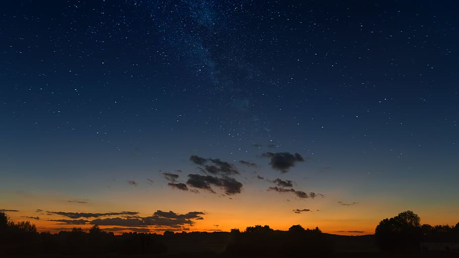 Silhouette of Trees Under Starry Night, astronomy, backlit, clouds HD wallpaper