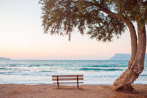 brown bench near seashore, beach, sunset, dusk, blue hour, pastel HD wallpaper