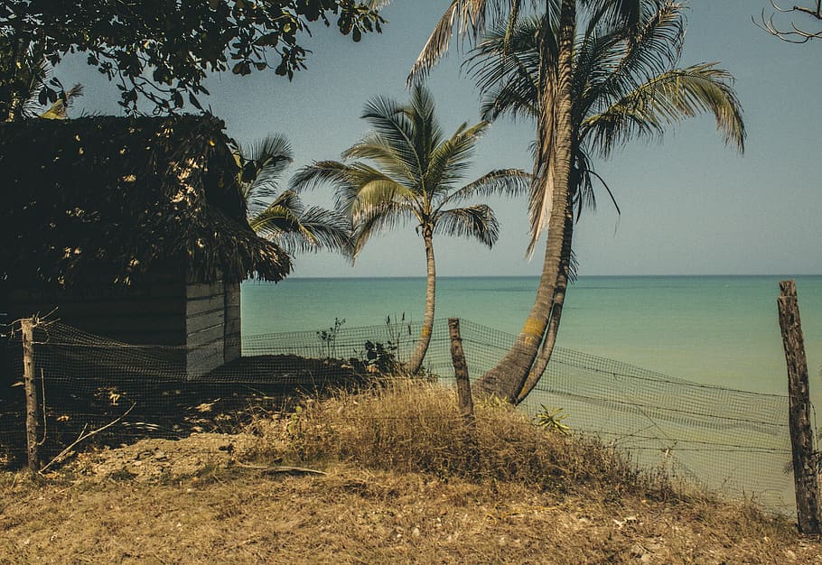 colombia, palomino, beach, guajira, seven, paradise, playa, HD wallpaper