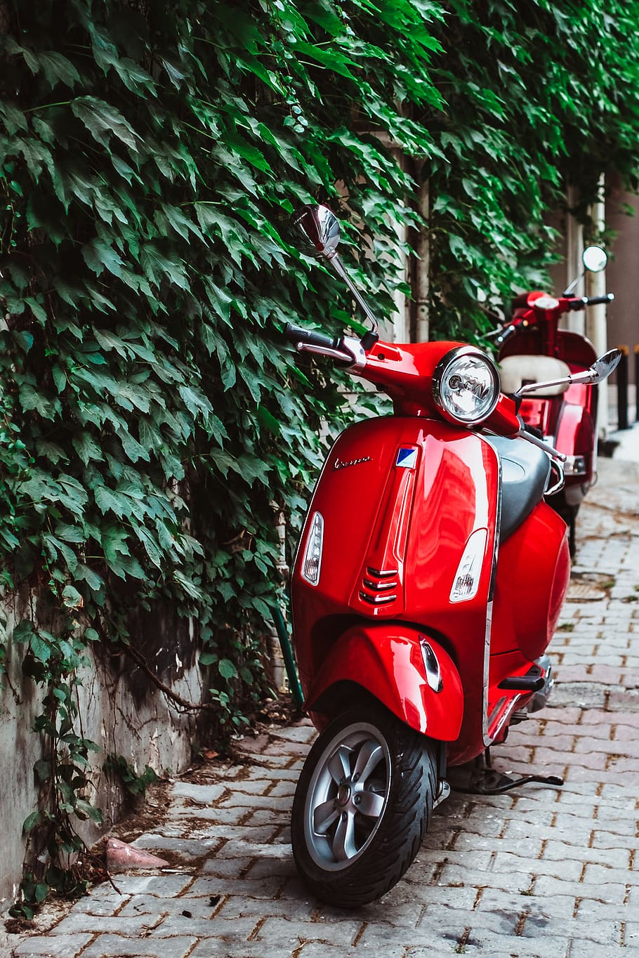 red automatic scooter, transportation, mode of transportation HD wallpaper