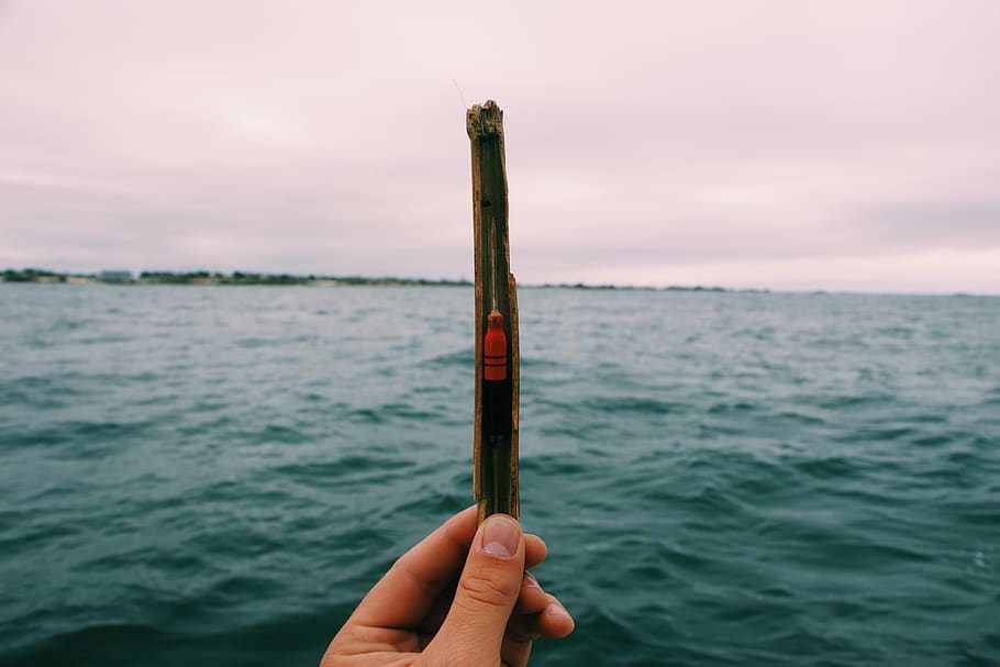 brown stick, water, human, person, outdoors, nature, finger, france HD wallpaper