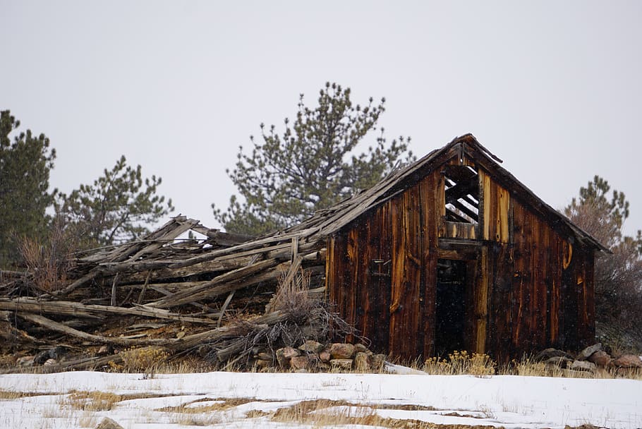 Wrecked House Near Trees, abandoned, barn, cabin, daylight, decay HD wallpaper