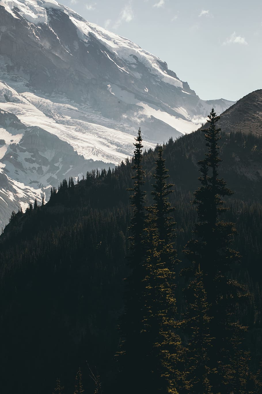 mountain filled with snow, mountain ridge, tree, forest, wilderness HD wallpaper