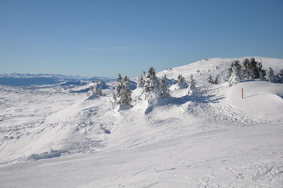 winter, snow, landscape, cold temperature, beauty in nature HD wallpaper