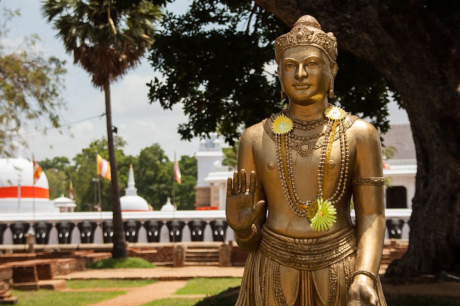 sri lanka, anuradhapura, temple, budhist, tree, statue, sculpture, HD wallpaper