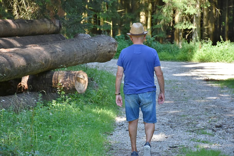 man, walk, forest, nature, away, go, trees, green, hiking, enjoy HD wallpaper