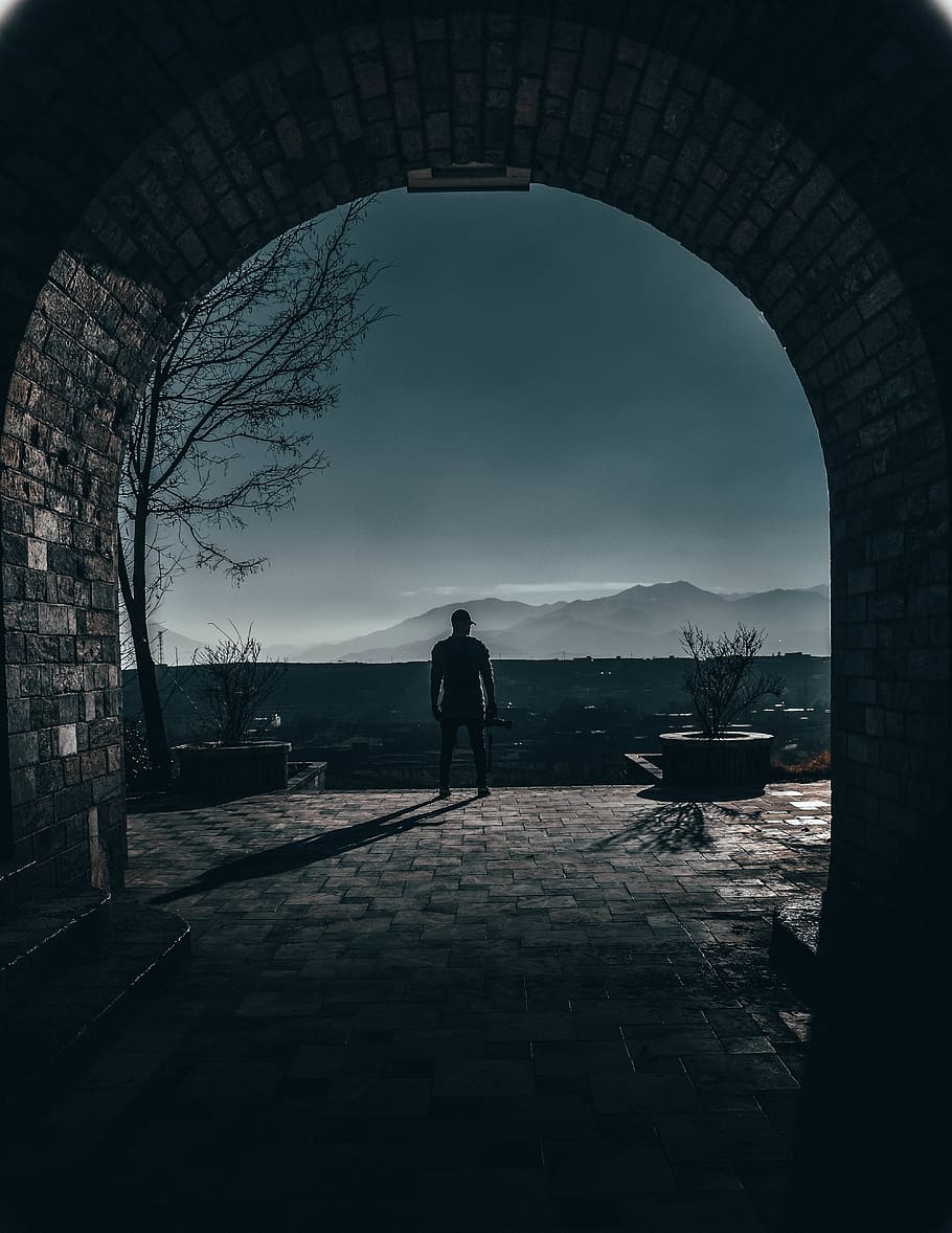 Person Standing Next to Tree, dark, dawn, daylight, evening, man HD wallpaper