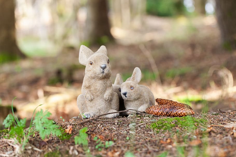 small, cute, sweet, nature, hare, holiday, festival, spring HD wallpaper