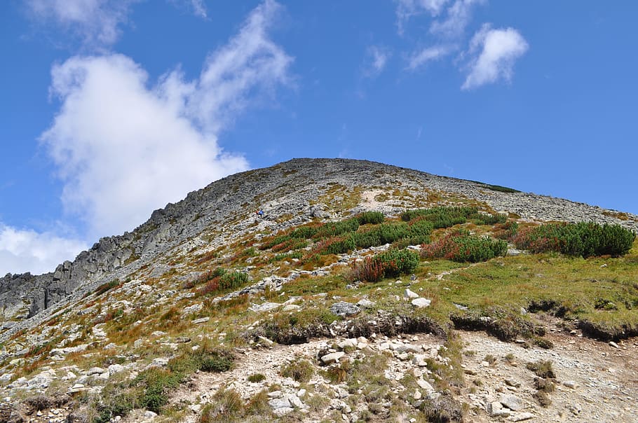 Green Mountain Under Blue Sky, clouds, daylight, daytime, environment HD wallpaper