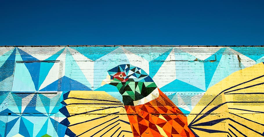 public, wall, art, mural, bird, animal, painting, graffiti HD wallpaper