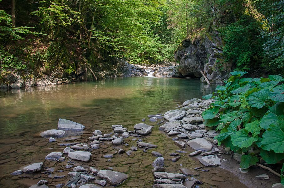 river, water, waterfall, mountains, forest, plant, rock, nature HD wallpaper