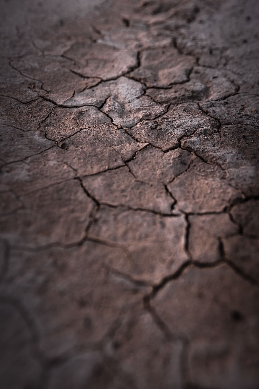 craked brown ground, soil, cracked, dry, textured, backgrounds HD wallpaper