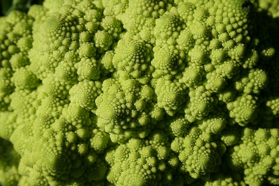 broccoli, green, macro, pattern, mandelbrot, geometry, fractals HD wallpaper