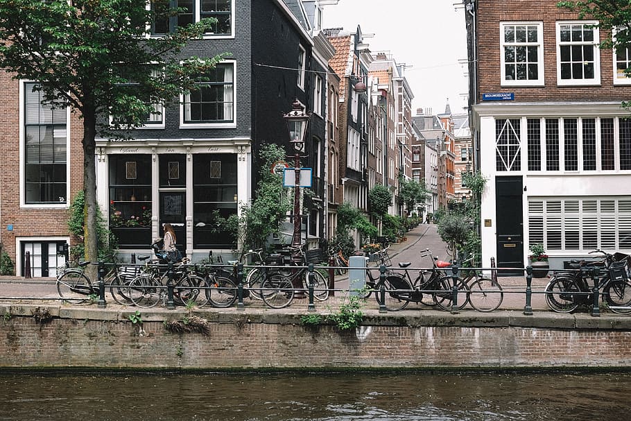 bicycles parked near rail and body of water, amsterdam, netherlands, HD wallpaper