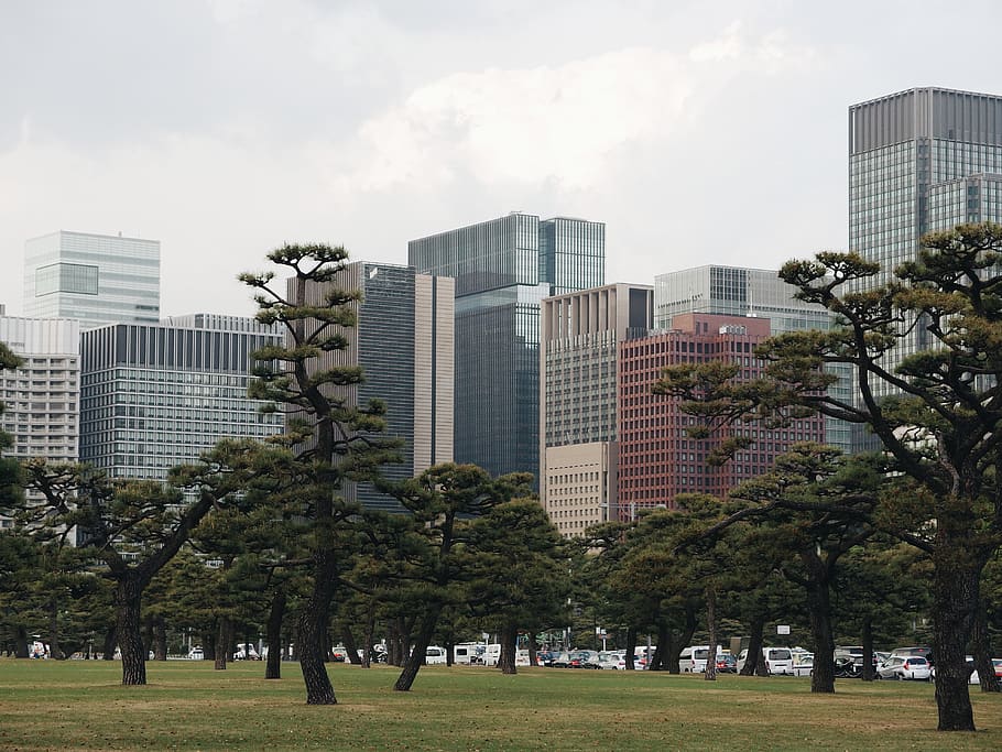 building exterior, architecture, built structure, tree, city HD wallpaper