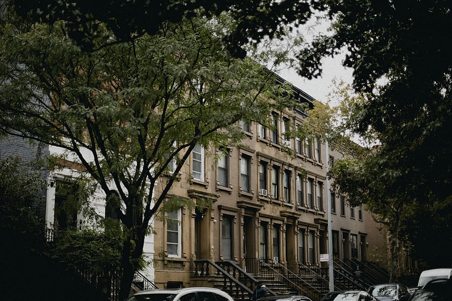 brown building, tree, building exterior, plant, architecture HD wallpaper