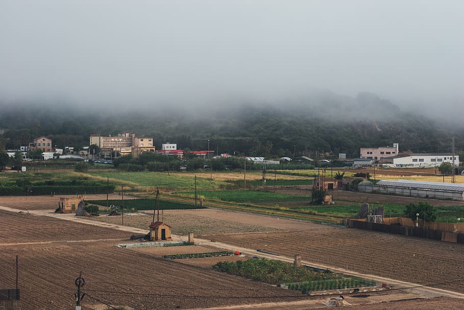 fog, mist, spain, spanish, europe, european, farm, crops, hills HD wallpaper