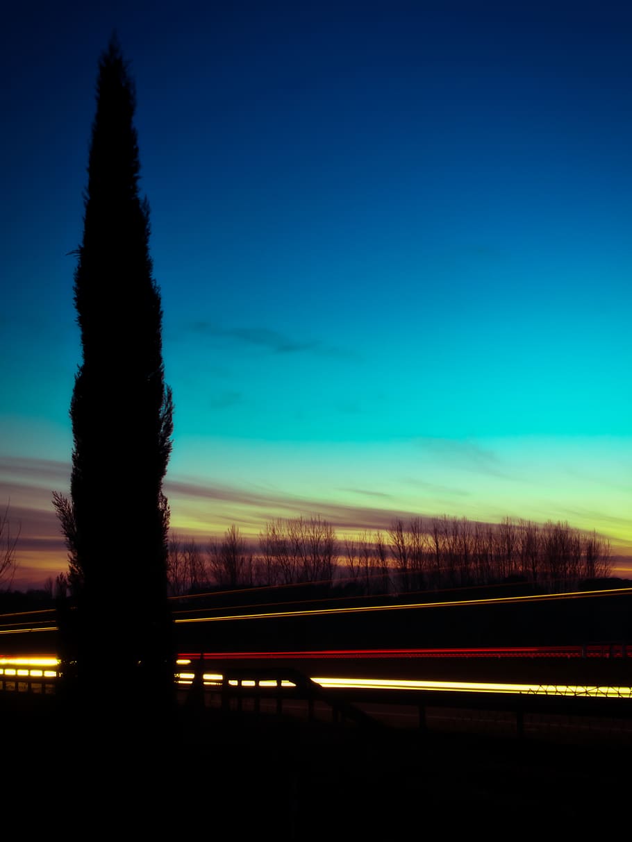 night photography, shoot, artist, imagine, life, tree, car