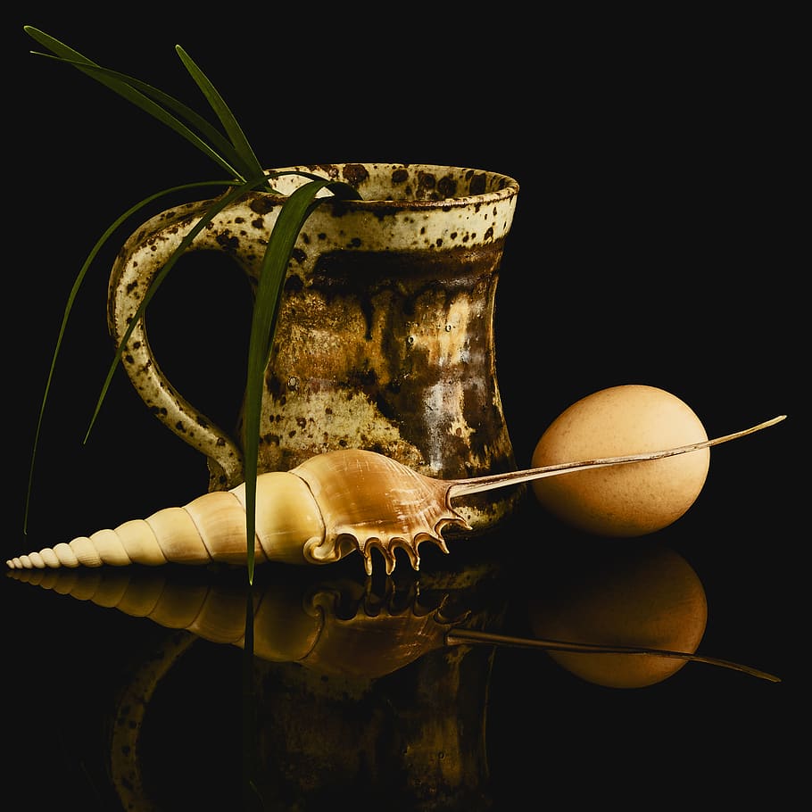 mug, coffee, pottery, ceramic, hand made, handmade, shell, seashell HD wallpaper