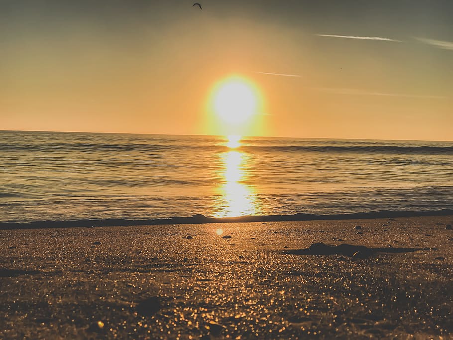 Photography of Ocean during Sunset, beach, bright, clear sky HD wallpaper