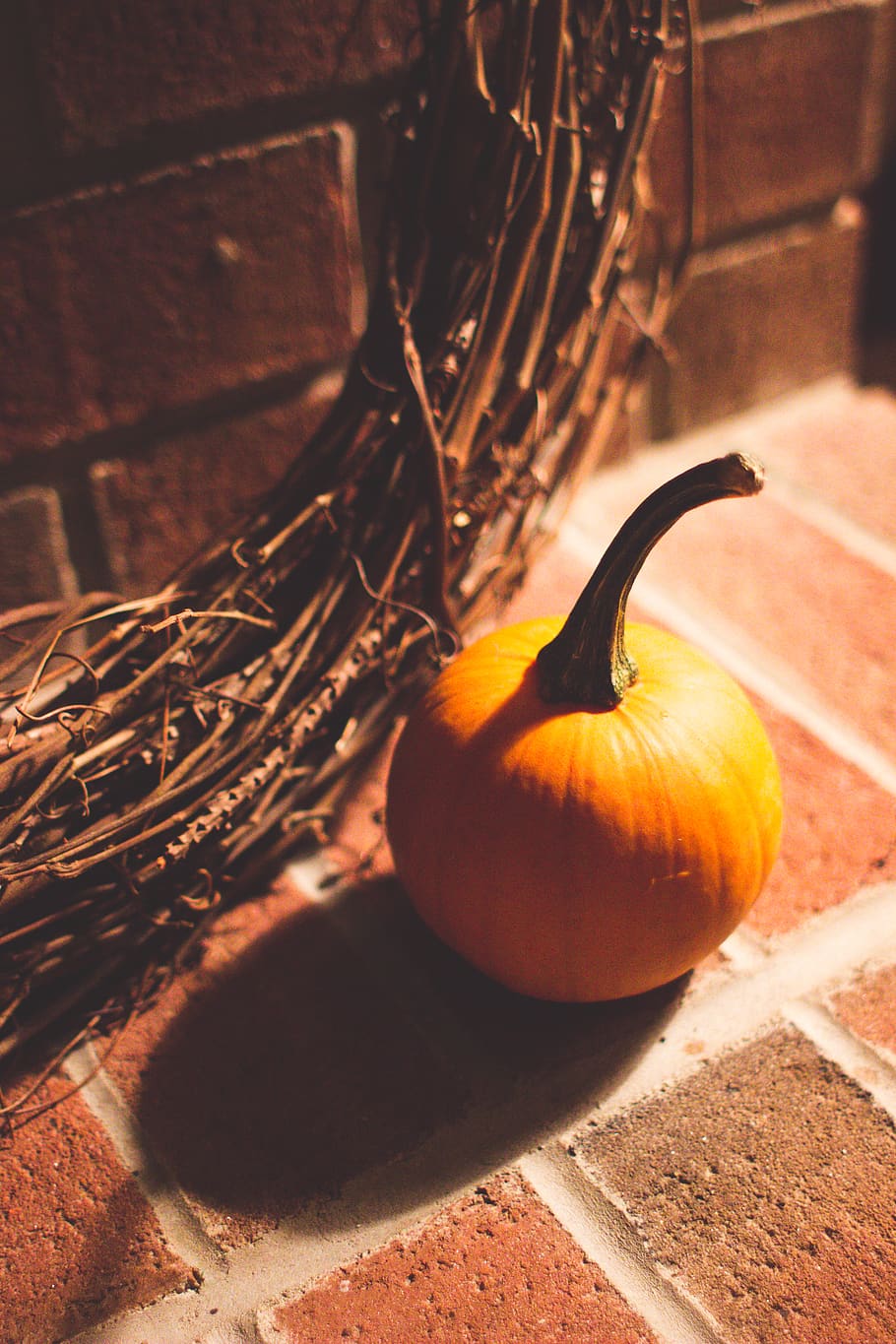 pumpkin, halloween, bricks, food, food and drink, healthy eating HD wallpaper