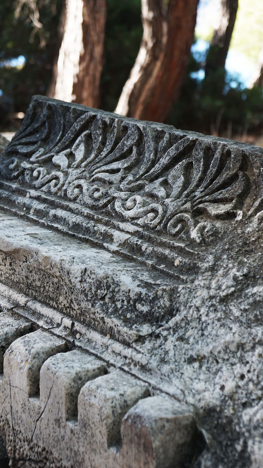 phaselis, turkey, stone, ornament, sculpture, tourism, ancient HD wallpaper