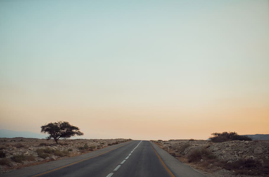 israel, ein gedi, road, direction, the way forward, transportation HD wallpaper