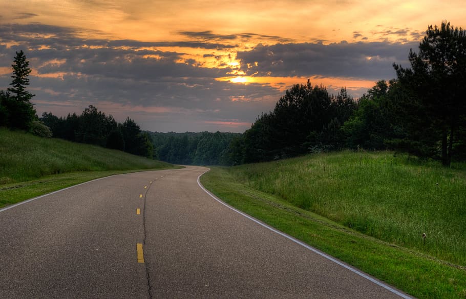 plant, sky, tree, road, direction, cloud - sky, sunset, the way forward HD wallpaper