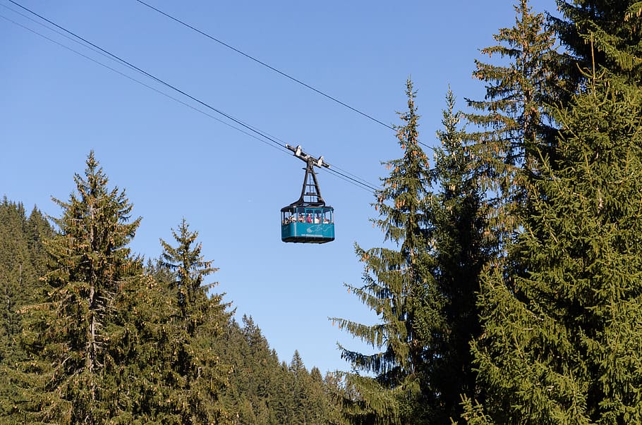 austria, mountain, forest, trees, autumn, cable car, gondola HD wallpaper