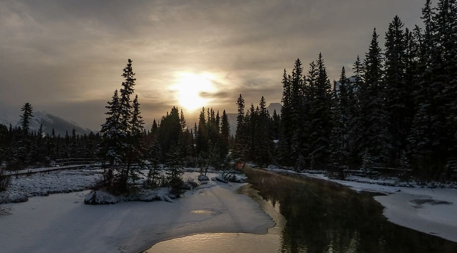 canmore, canada, snow, trees, creek, sky, morning, sunrise HD wallpaper