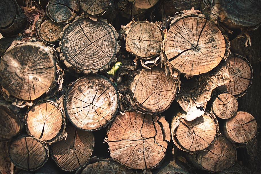 Wood Logs Wallpaper - Natural and Rustic Design