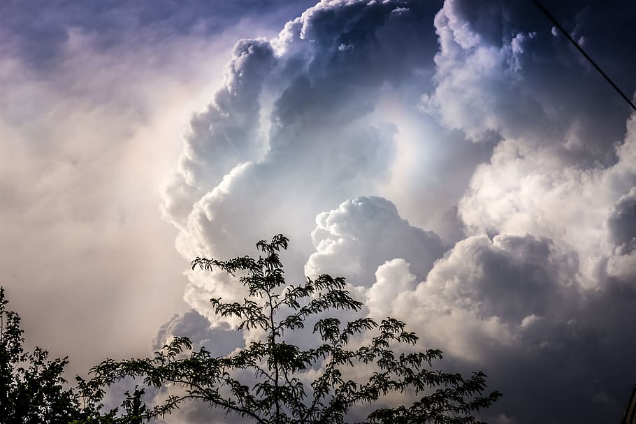 sky, clouds, trees, nature, dark, cloud - sky, beauty in nature HD wallpaper