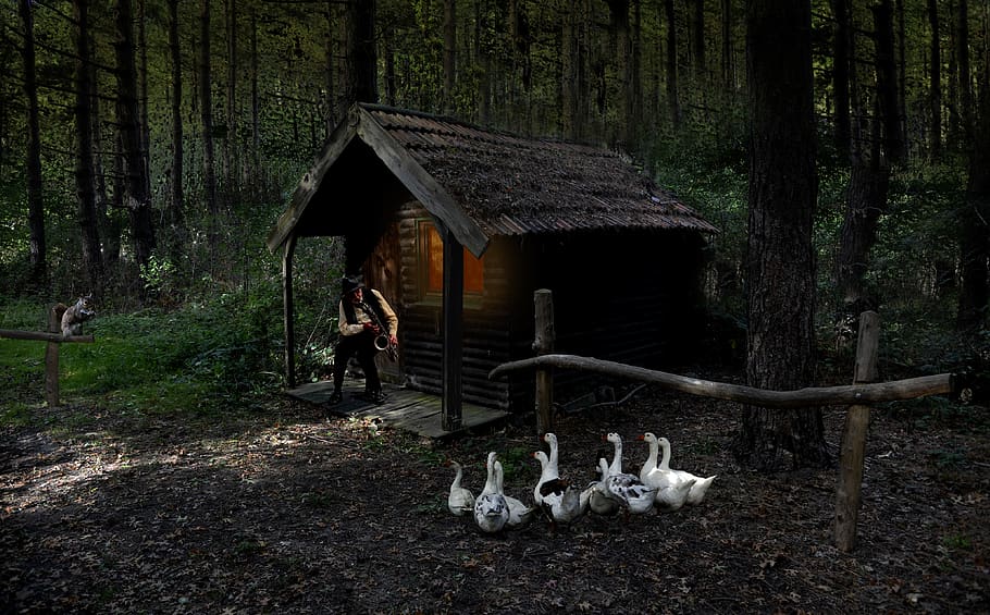 Brood of Goose Beside Brown House, animals, cabin, daylight, forest, HD wallpaper
