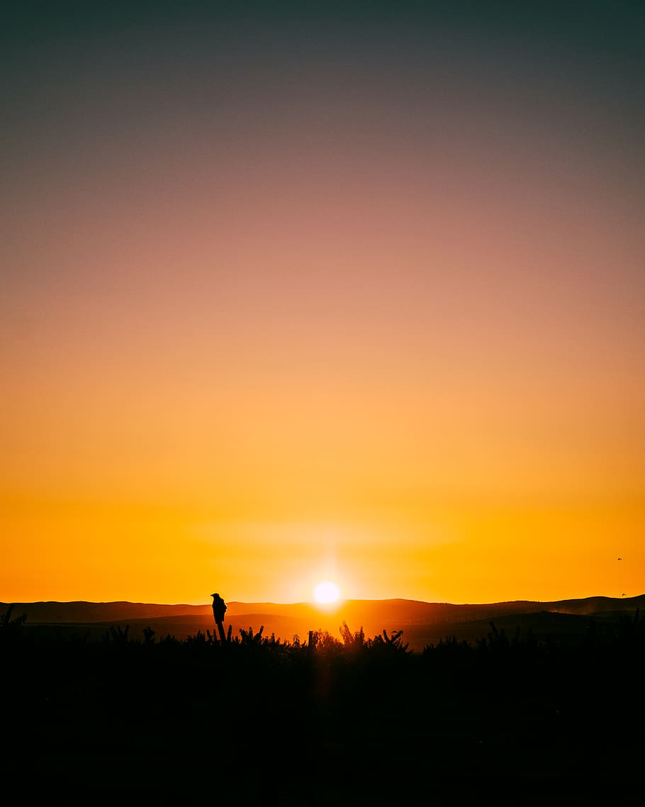 black and white wall decor, sunset, silhouette, sky, orange color HD wallpaper