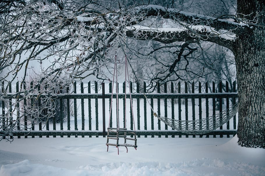 hammock hanged at tree, snow, cold temperature, winter, plant HD wallpaper