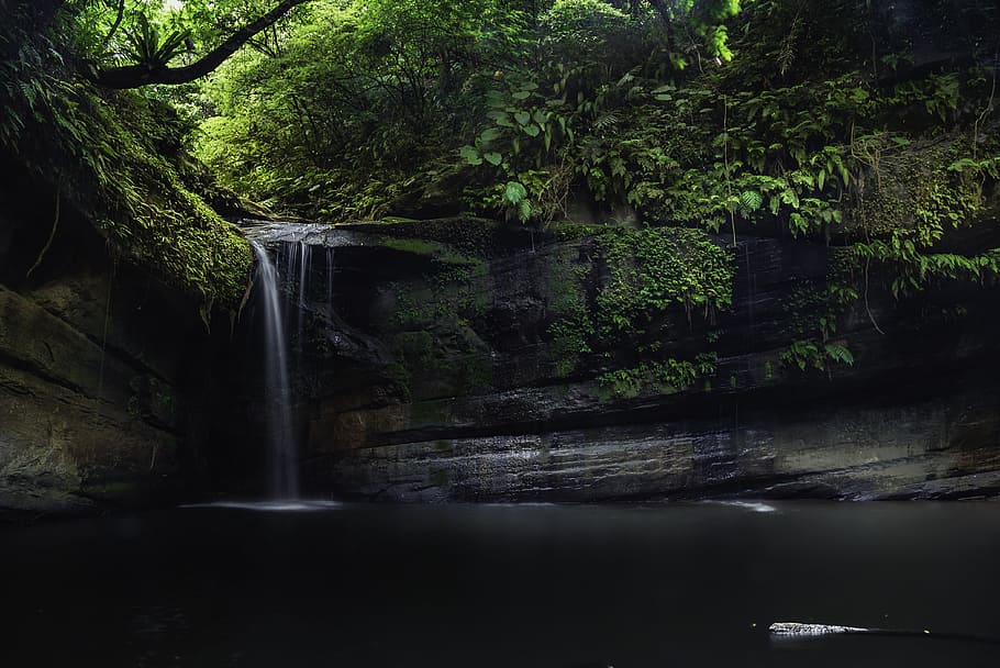 Waterfall Surrounded by Green Leaf Trees, cascade, environment HD wallpaper