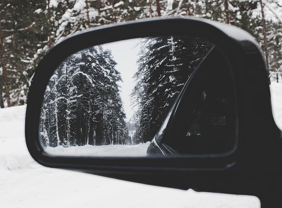 Photo of Vehicle Wing Mirror With Tree As Reflection, automobile HD wallpaper